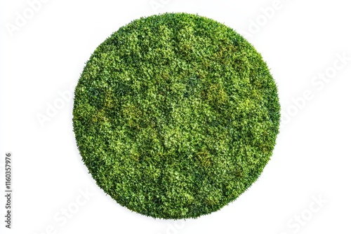 Circular preserved moss wall art.