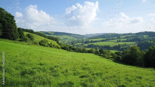 Lush Green Rolling Hills Under a Summer Sky