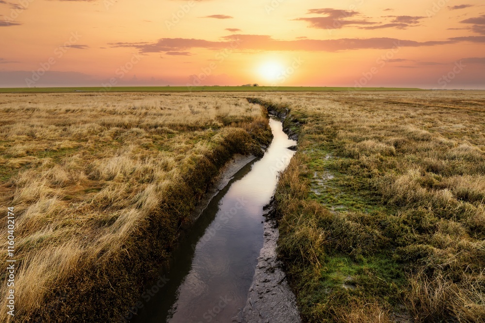 sunset on the salt marshes