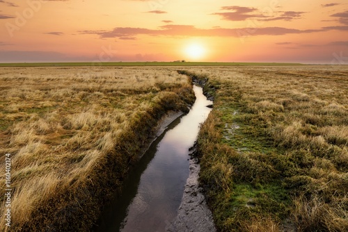 Obraz na płótnie sunset on the salt marshes w salonie