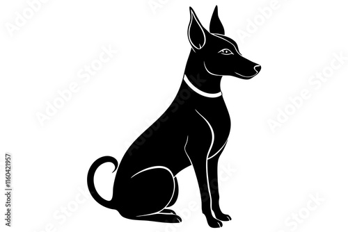 Basenji Dog Silhouette Sitting with Erect Ears and Curled Tail photo