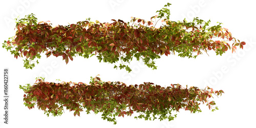 red and green leaves
