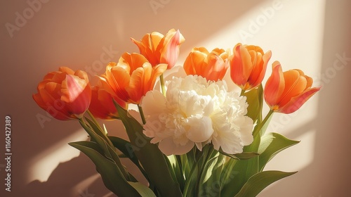 Fototapeta Naklejka Na Ścianę i Meble -  Orange tulips and white peonies on taupe background with sunlight