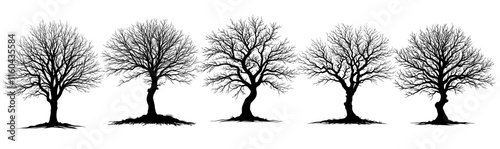 silhouette dead trees set. vector leafless dead trees for design purpose