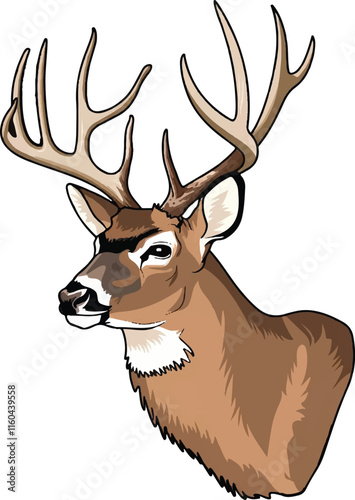 Realistic white-tailed deer head, 