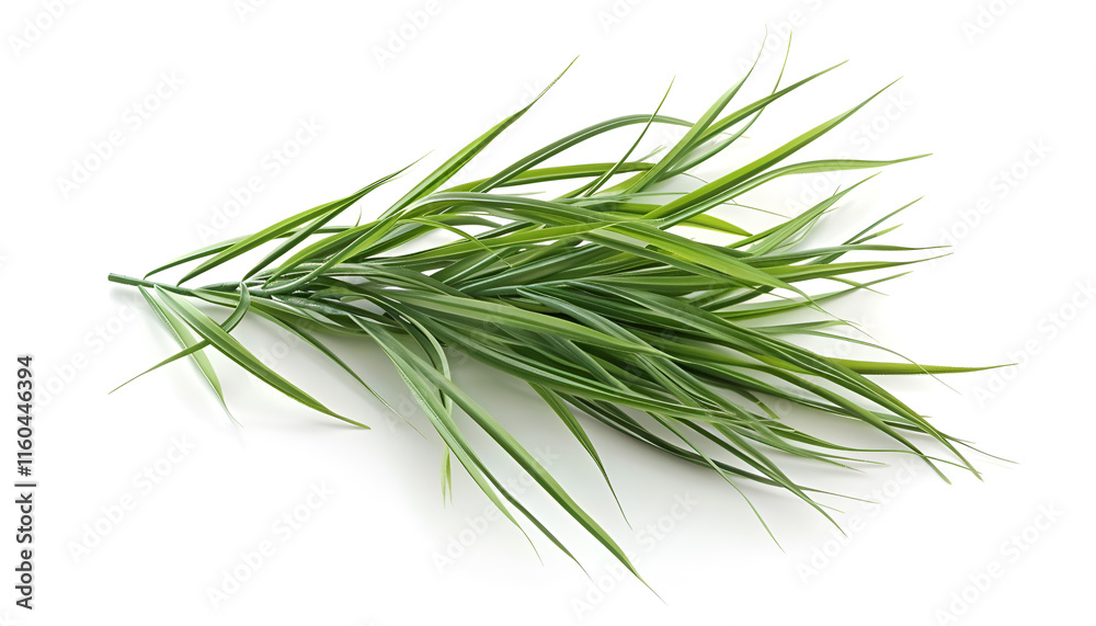 Fototapeta premium Green artificial grass isolated on white. Garden decor