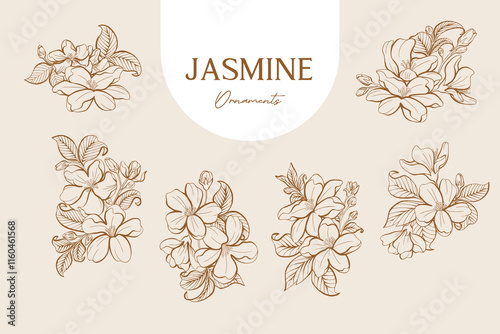 Set of Jasmine Line Art Ornaments