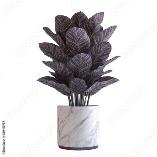 Plant in pot, white isolate background photo