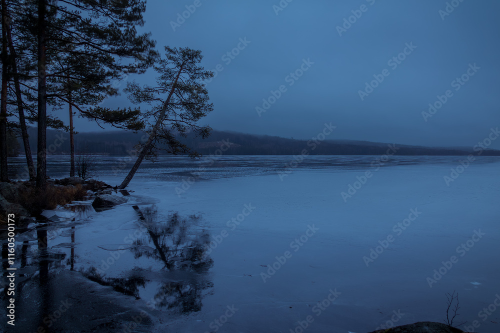 trees reflection in ice