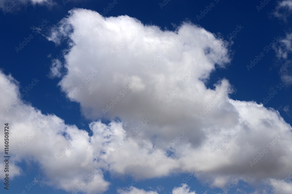 Fototapeta premium white clouds are floating across the sky