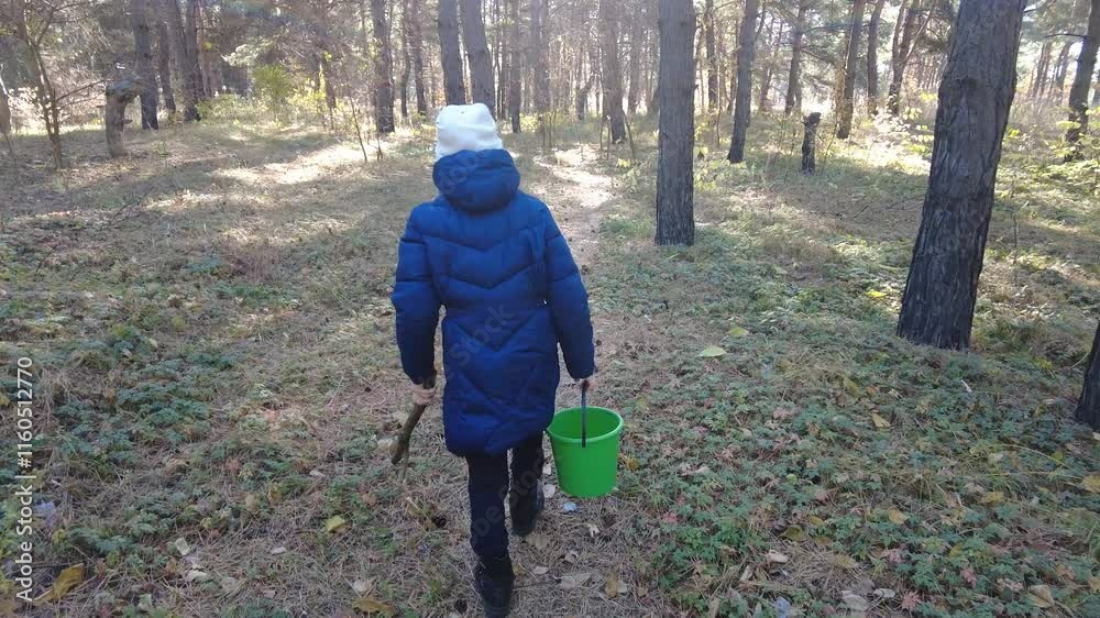 Walk in the woods. Mushroom picking. Walk in the woods. Mushroom picking.