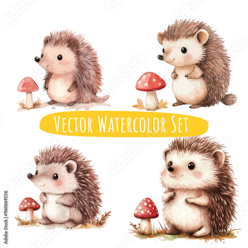 Watercolor Hedgehog Illustrations   Set of Four