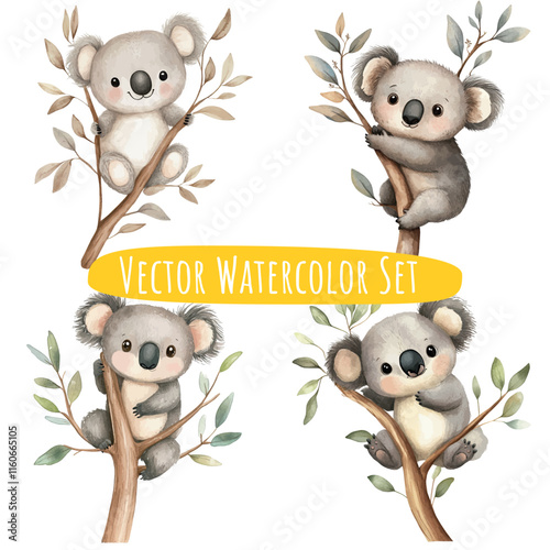 Watercolor Koalas on Branches   Vector Illustration Set