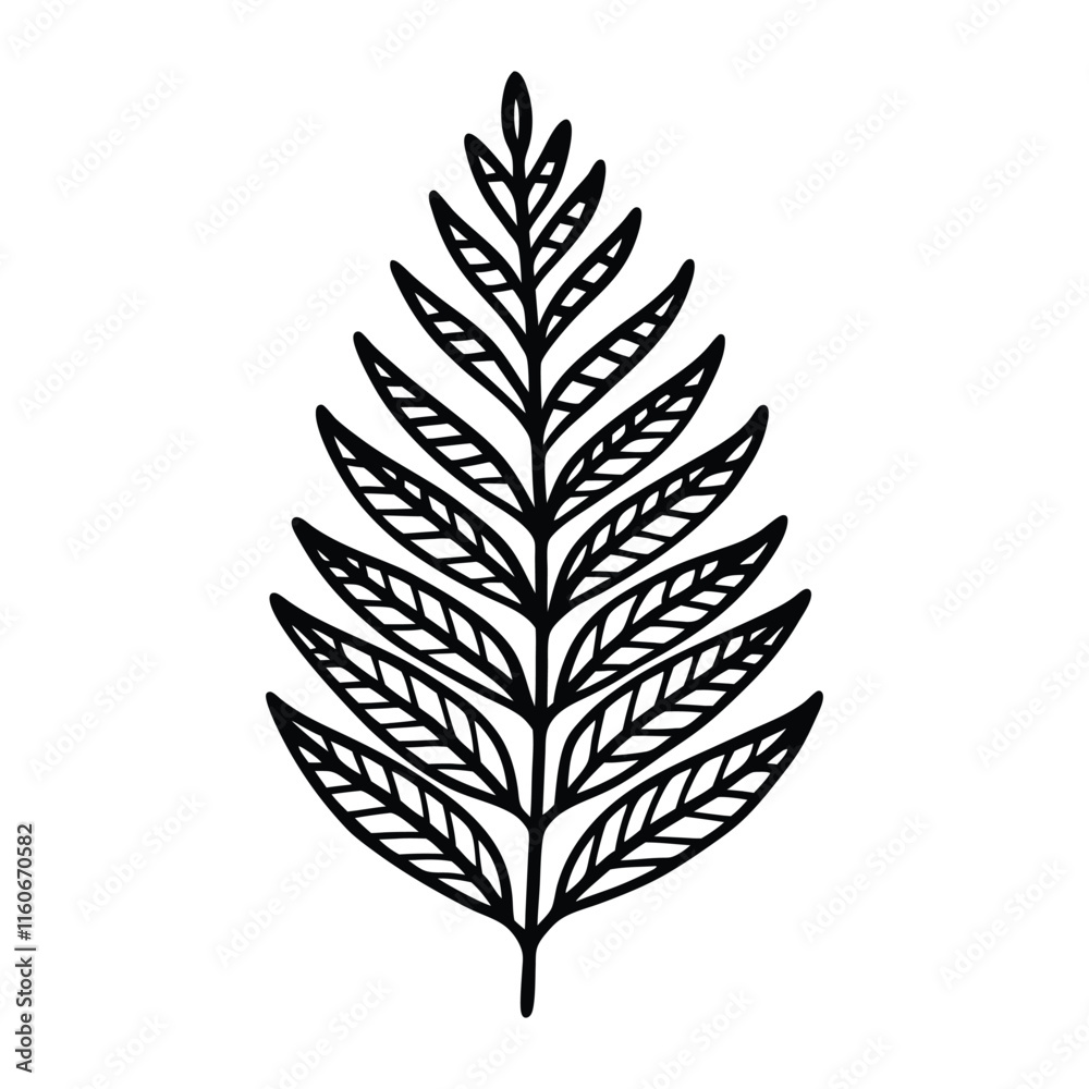 A fern leaf line art illustration.eps A fern leaf line art illustration.eps