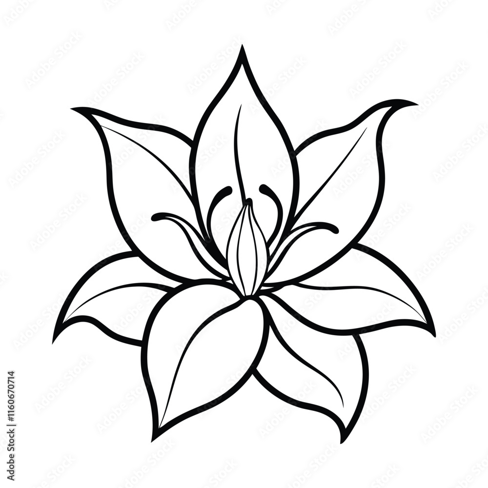 A lily flower line art illustration.eps A lily flower line art illustration.eps