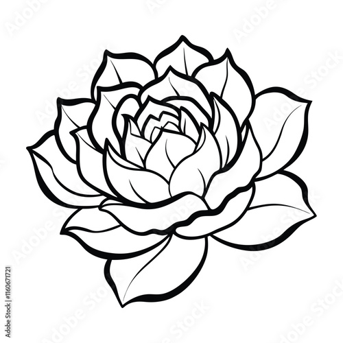 A single peony line art illustration.eps