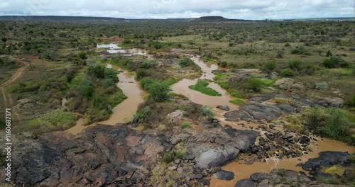 African savannah landscape from an aerial view