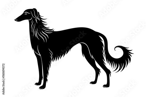 Elegant Borzoi Dog Silhouette with Long Narrow Head and Flowing Fur photo