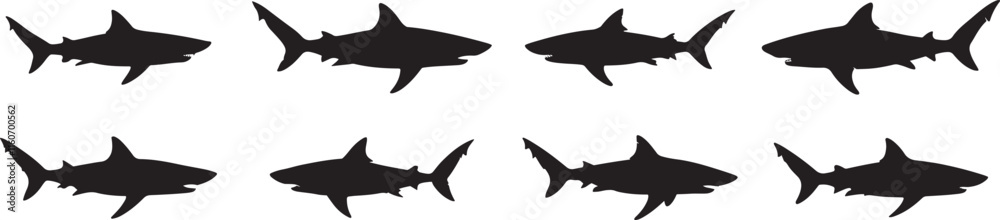 Obraz premium Shark silhouette vector art on white background