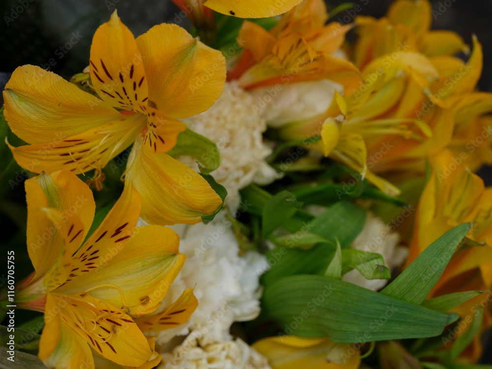 Obraz premium beautiful flowers in the flower shop