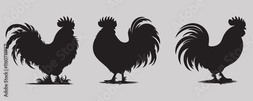 Silhouettes of three Bantam chickens with detailed combs and elegant tail feathers, displayed on a light gray background