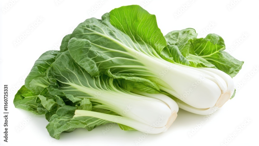 Fresh Bok Choy on White Background Fresh Bok Choy on White Background