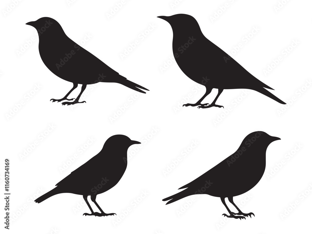 Bird Silhouette vector art on white background 