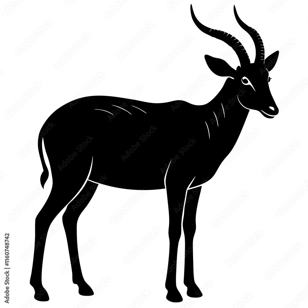 Fototapeta premium silhouette of a deer