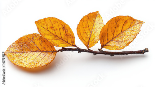 Vibrant Autumn Yellow Leaves on White Background Isolated for Seasonal Design