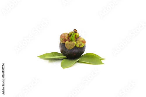 Fresh mangosteen and leaves on a white background photo