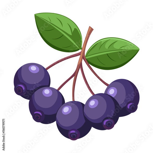 bunch of grapes