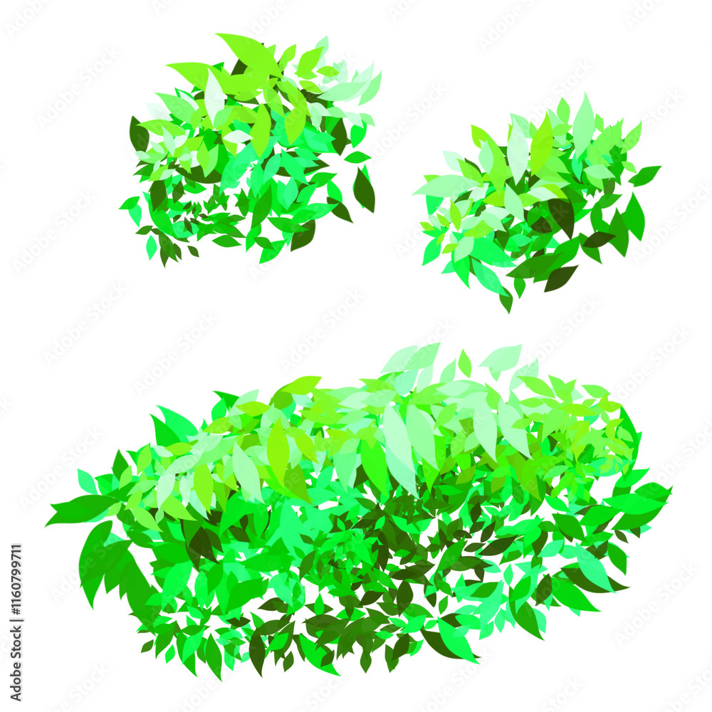 green leaves isolated on white green leaves isolated on white