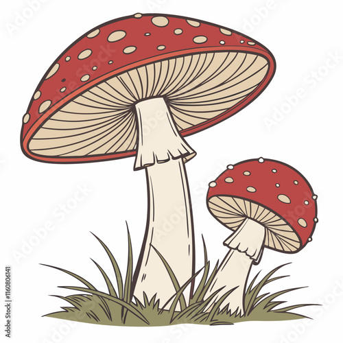 fly agaric amanita muscaria