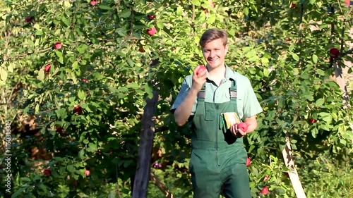 Gardener farmer in an apple orchard .young guy Gardener worker cheerful positive proud juggles fun bites apples from a tree in the garden in summer quality control