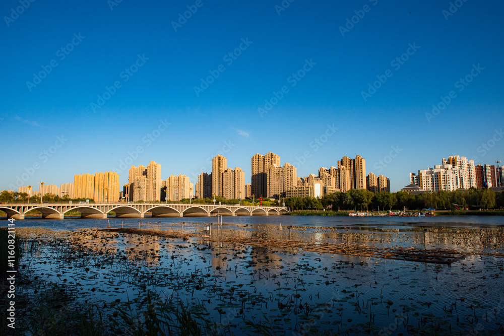 Naklejka premium The rivers, trees, and skyline of urban parks in the sunset glow
