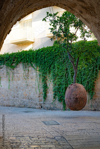 The Hanging Orange, or rather the Floating Orange Tree, grows through a hole in a ceramic oval pot suspended by strong ropes from the walls of neighboring houses in the city of Jaffa.