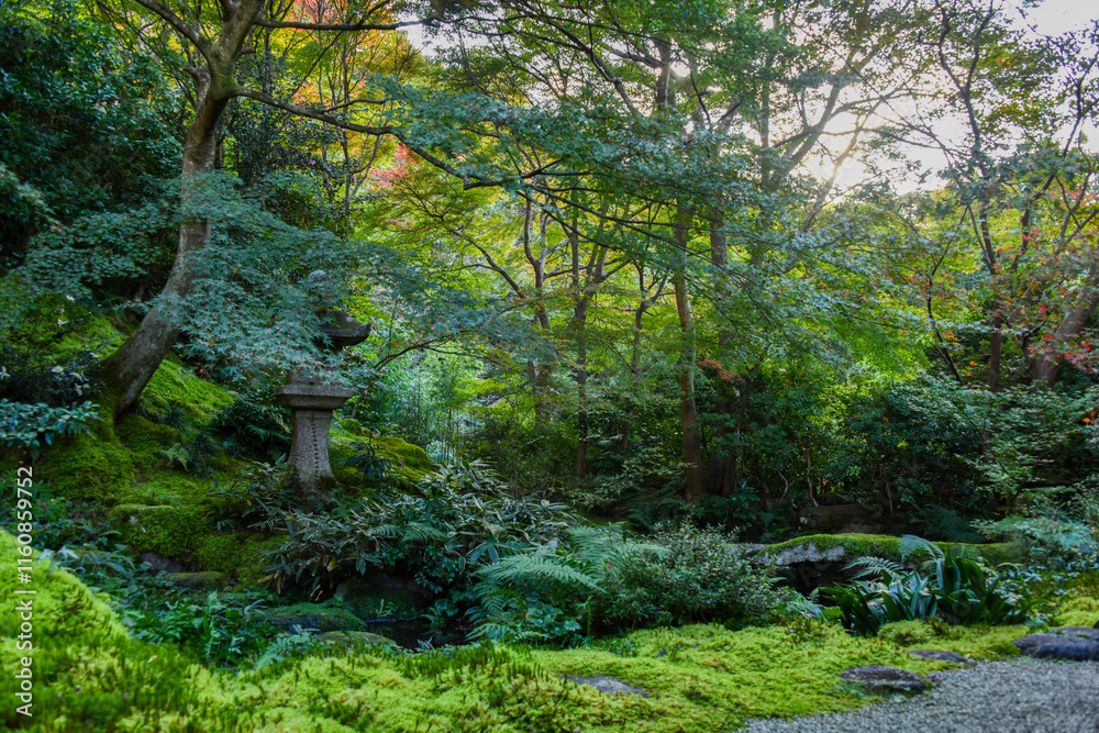 autumn scenery steeped in the garden autumn scenery steeped in the garden