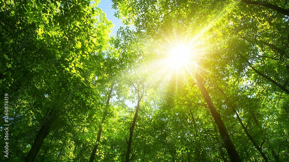 Fototapeta premium Environmental Considerations. A serene forest scene with sunlight filtering through lush green leaves, creating a vibrant and peaceful atmosphere.