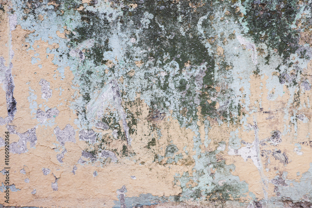 Close-up texture of damaged moldy wall. Close-up texture of damaged moldy wall.