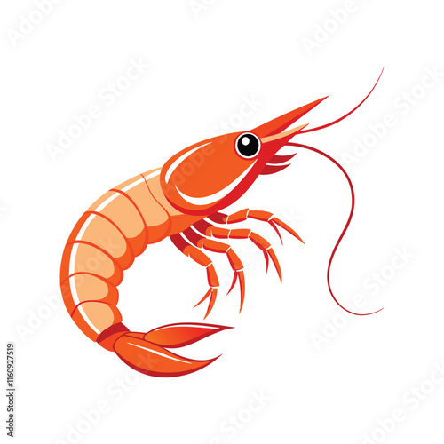 illustration of a shrimp 
