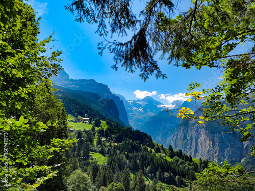 Lush Alpine Valley with Mountain Views in Lauterbrunnen, Switzerland