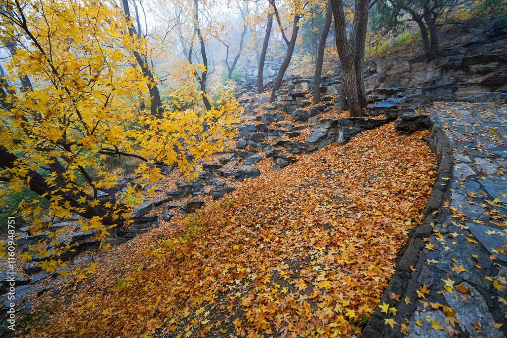 Early Winter Scenery at the North Foot of Wanshou Mountain in Summer Palace