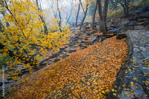 Obraz na płótnie Early Winter Scenery at the North Foot of Wanshou Mountain in Summer Palace w salonie