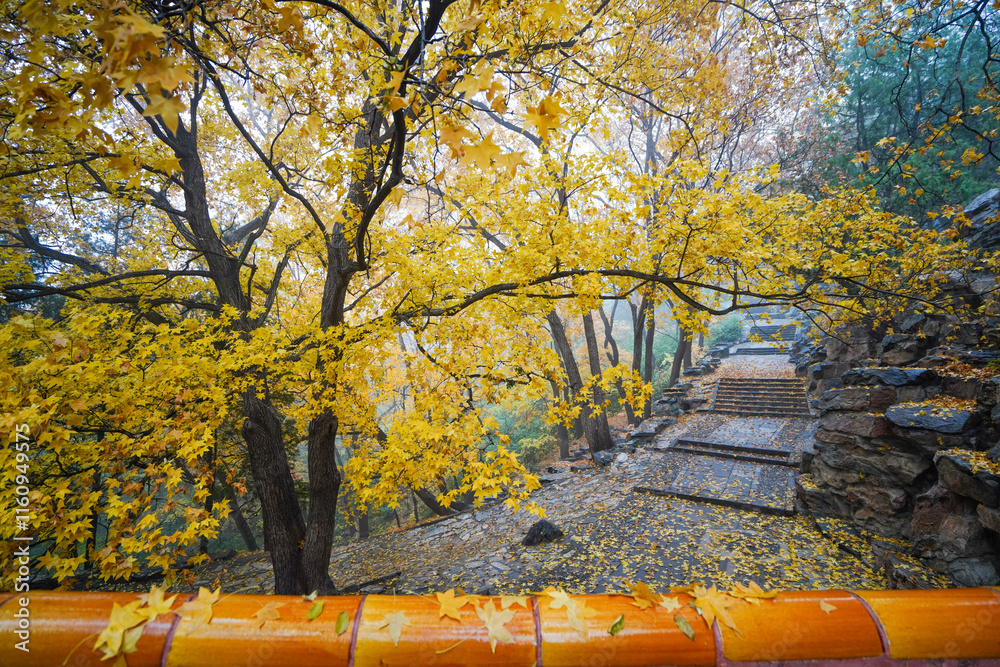 Early Winter Scenery at the North Foot of Wanshou Mountain in Summer Palace
