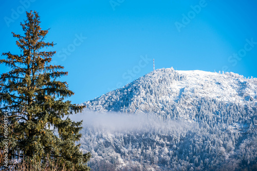 Gaisberg mit Neuschnee photo