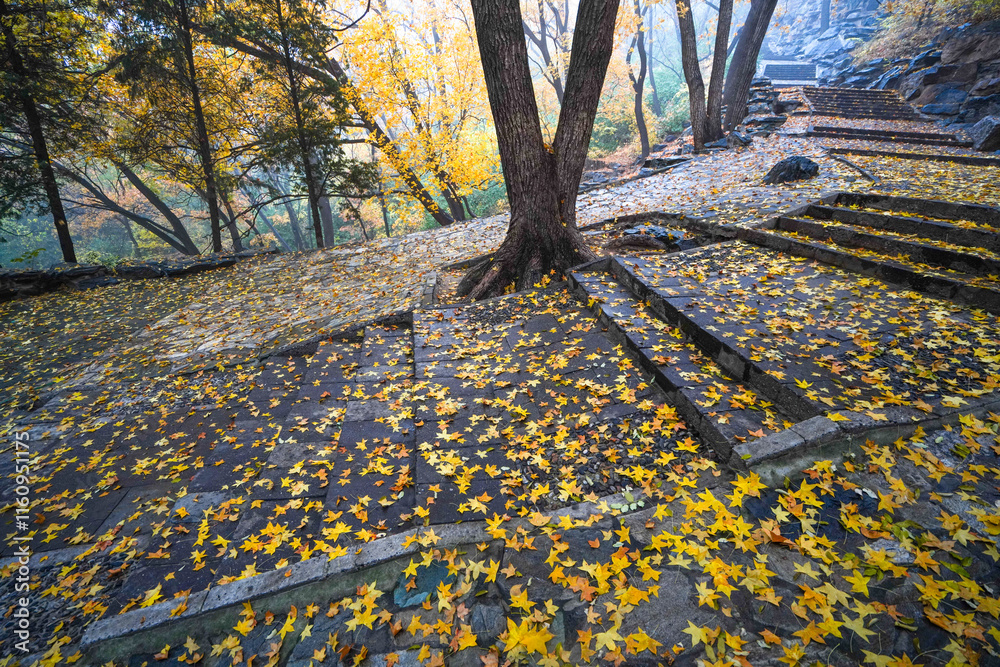 Early Winter Scenery at the North Foot of Wanshou Mountain in Summer Palace