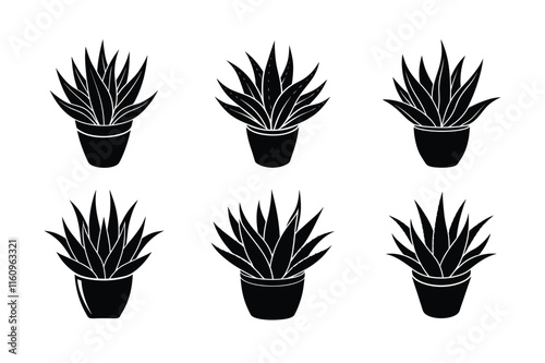 Aloe Vera (Aloe barbadensis miller) design, labeled silhouette vector art illustration.