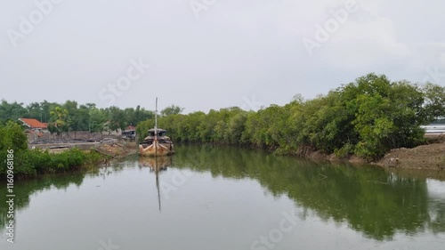 View of the mangrove forest on the river bank with gently flowing water during the rainy season in Pamekasan, Indonesia photo