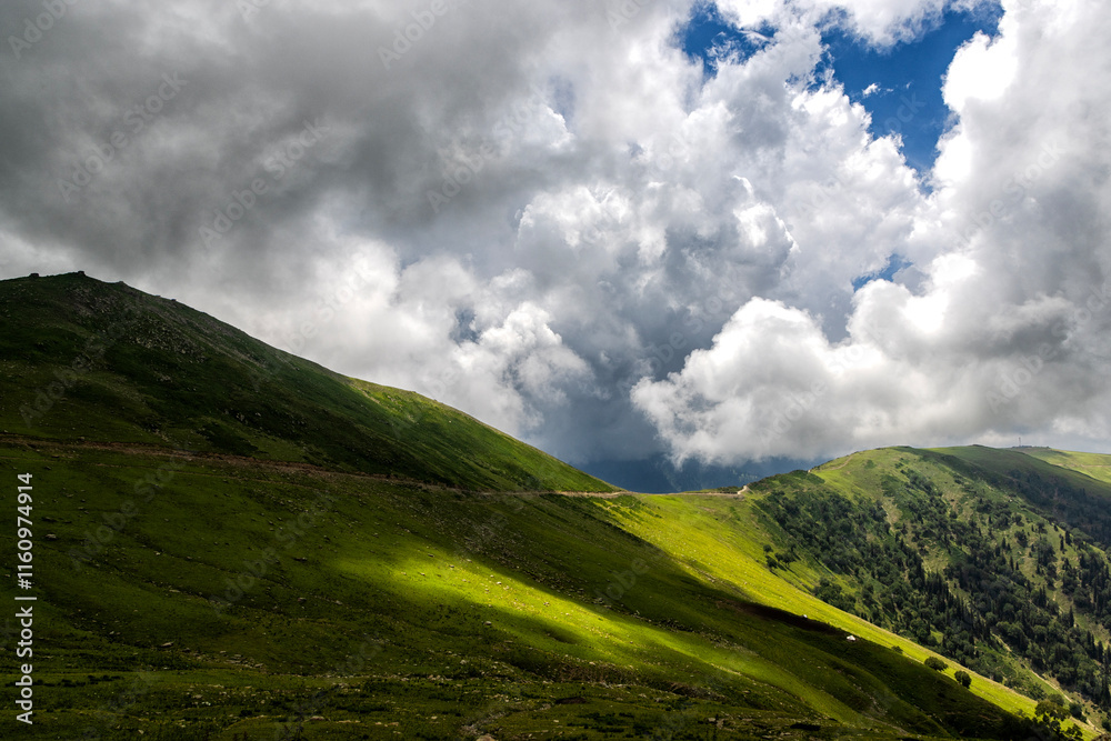 Fototapeta premium Beautiful Kashmir Landscape. Lush green meadows and mountains of Kashmir