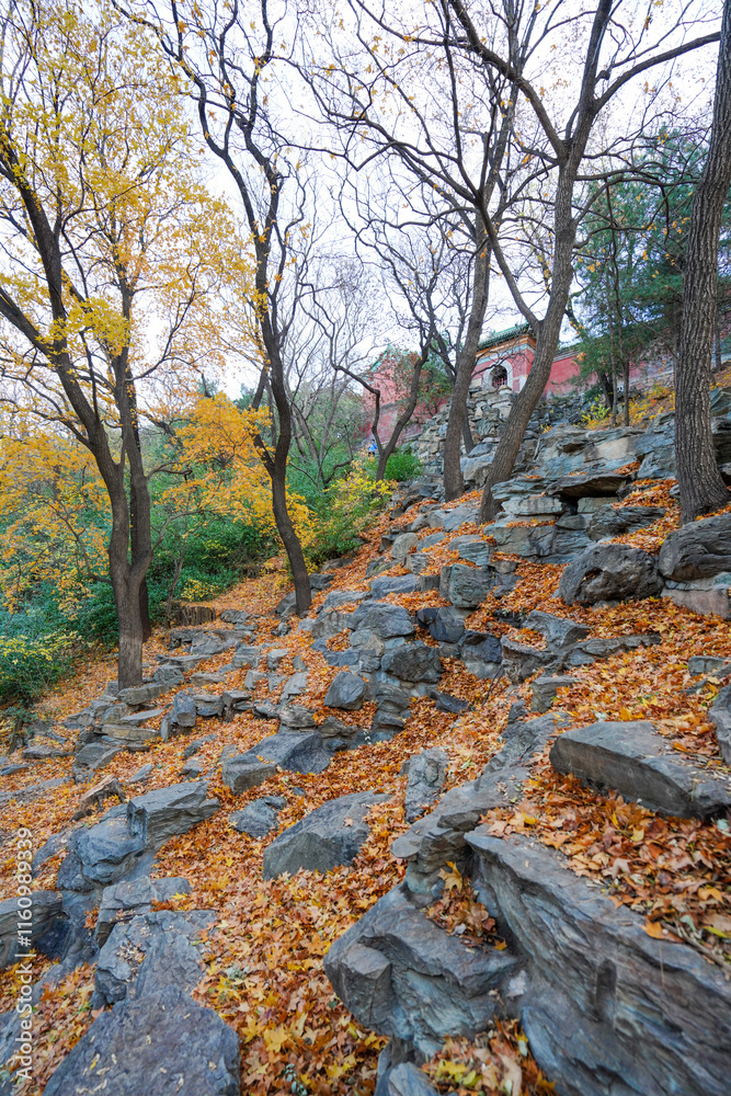 Scenery outside Shanxian Temple, Summer Palace, Beijing